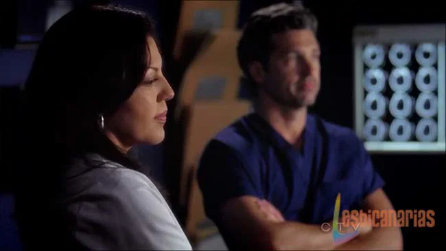 Callie y Arizona 9x01-03 Callie y Derek Escaners