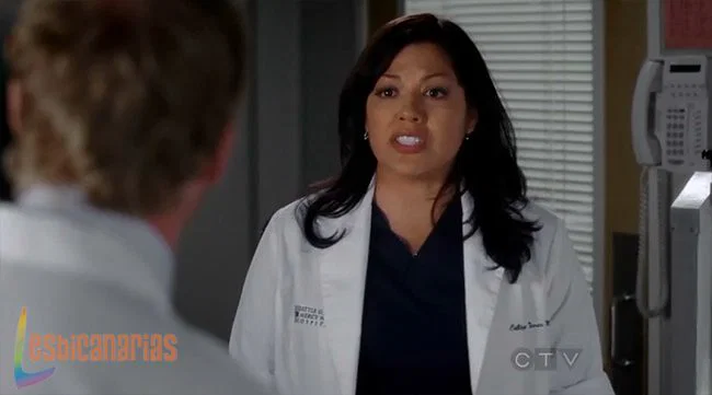 Callie y Arizona 9x02-04 Callie rogándole a Owen que aplique su plan
