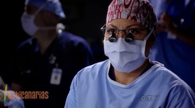 Callie y Arizona 9x02-07 Callie decidiendo el futuro de Arizona