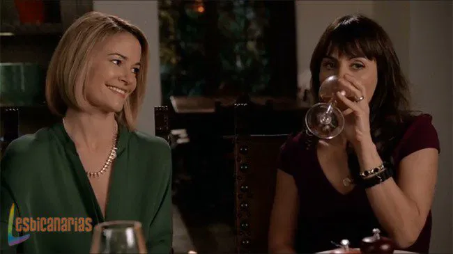 Leisha Hailey en The New Normal