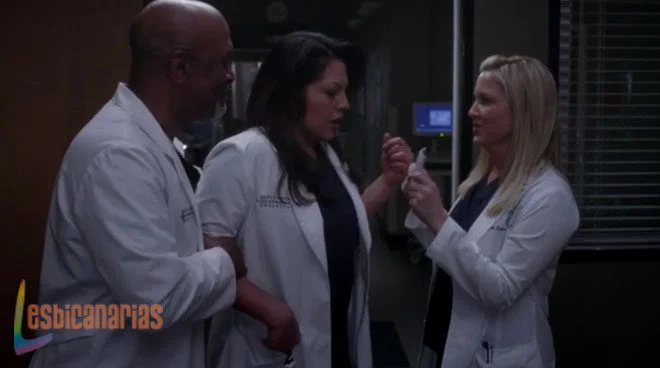 Arizona y Webber sorprenden a Callie