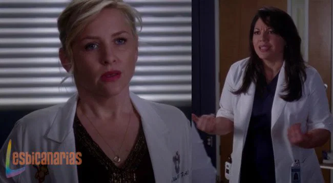 Callie y Arizona discutiendo
