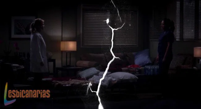 Callie y Arizona final