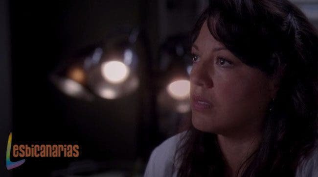 Callie y Arizona: resumen de episodios 10×06