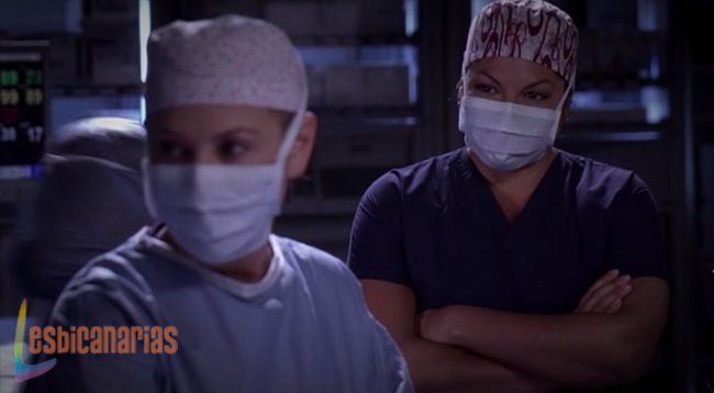 Calzona Anatomía de Grey