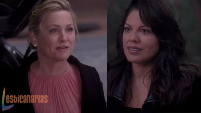Calzona Anatomía de Grey