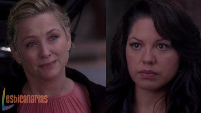 Calzona Anatomía de grey