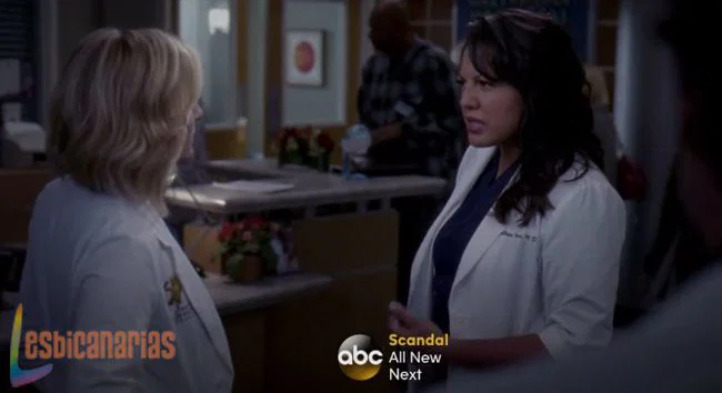 Callie y Arizona discutiendo