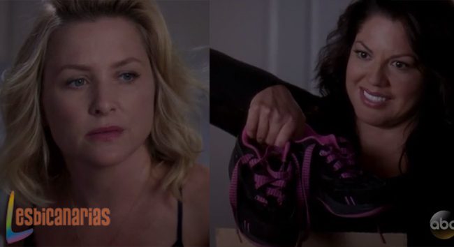 Anatom&iacute;a de Grey