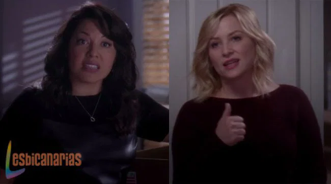 Callie y Arizona resumen de episodio