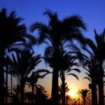 Ella International Lesbian Festival