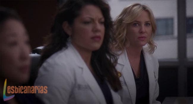 Callie y Arizona reunidas