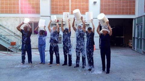 Anatom&iacute;a de Grey Cubo de agua congelada