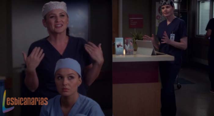 Arizona en Anatomía de Grey