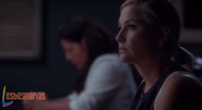 Callie y Arizona en la junta