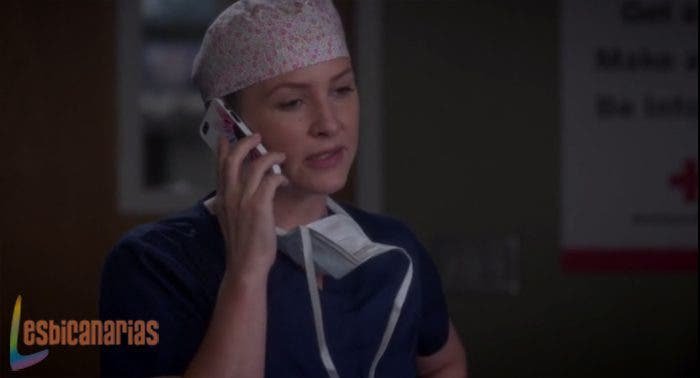 Callie y Arizona: resumen de episodio 11×07 Anatomía de Grey
