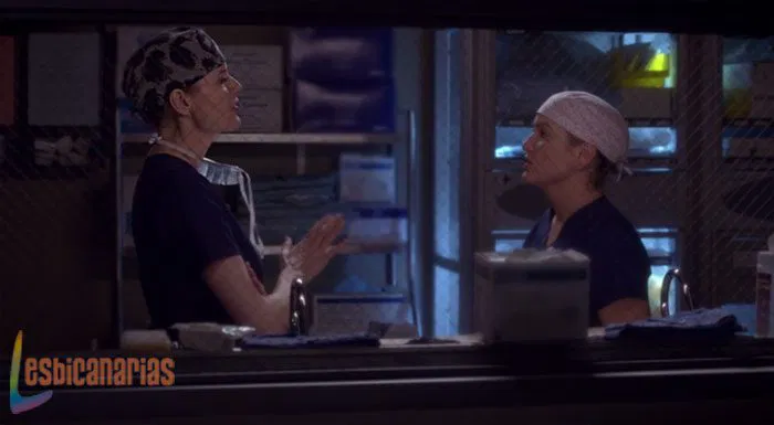 Arizona y Herman en Anatomía de Grey