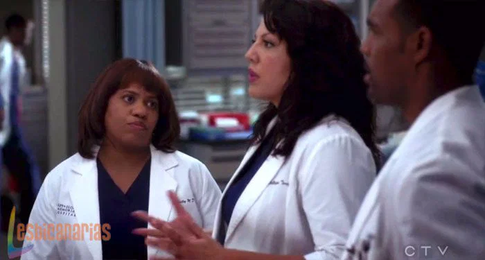 Callie preocupada por April