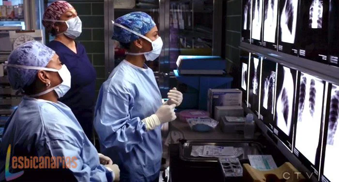 Maggie,-Callie-y-Bailey-trabajando