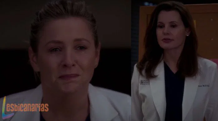 Arizona en Anatomía de Grey