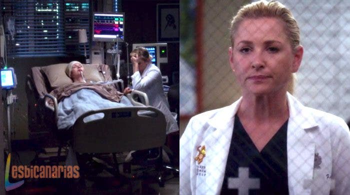 Arizon y Herman en Anatomía de Grey