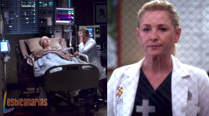 Arizon y Herman en Anatomía de Grey
