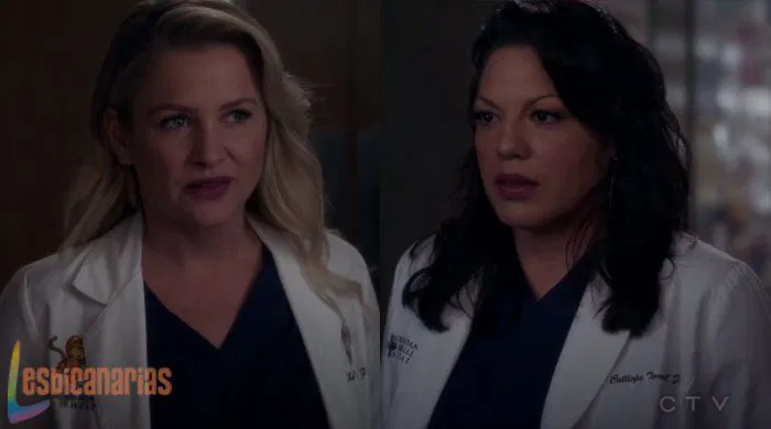 Callie y Arizona en Anatomía de Grey