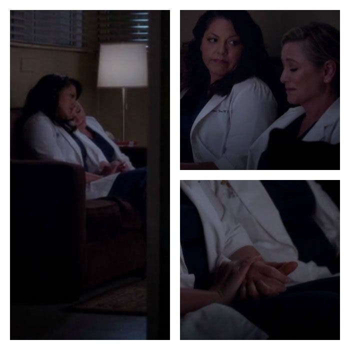 Callie y Arizona