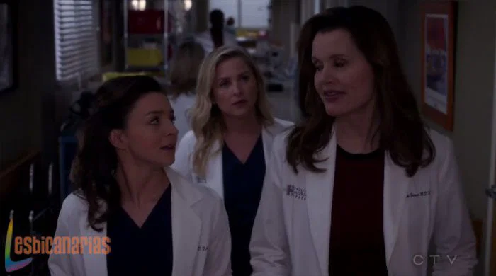 Herman y Arizona en Anatomía de Grey
