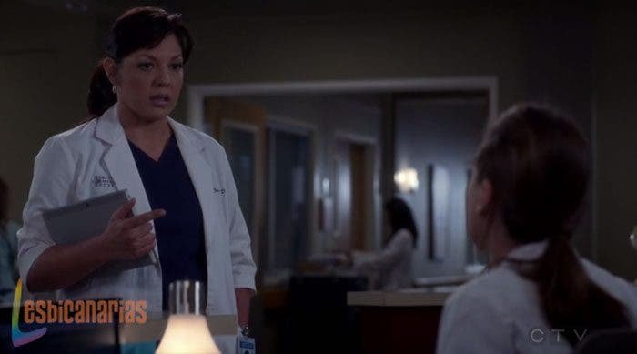 Callie y Arizona: resumen de episodio 11×18 Anatomía de Grey