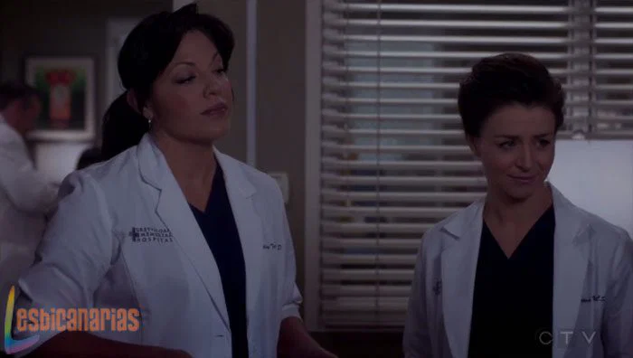 callie y Amelia en anatomía de grey