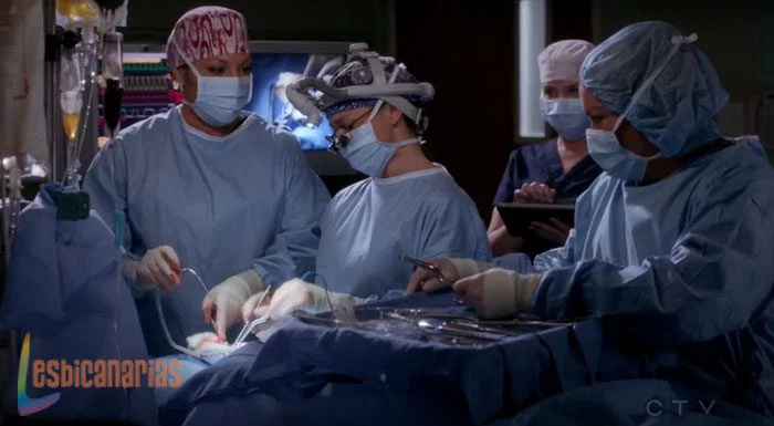 Callie-y-Arizona-miran-a-Amelia