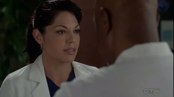 Callie discute con Richard
