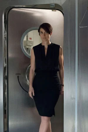 Jeryn Hogarth vestido negro
