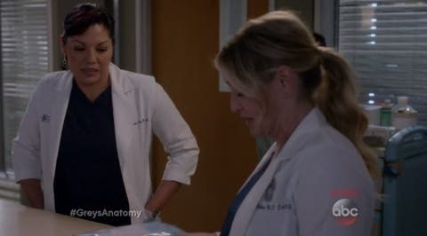 Callie y Arizona 12x18-19