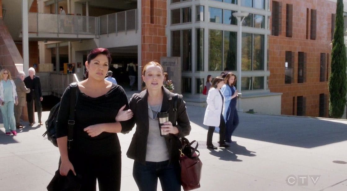 Callie y Penny caminando