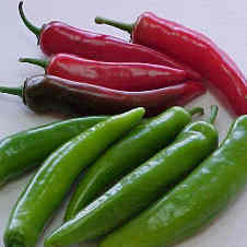 Peque&ntilde;as pero picantes Mayo 24