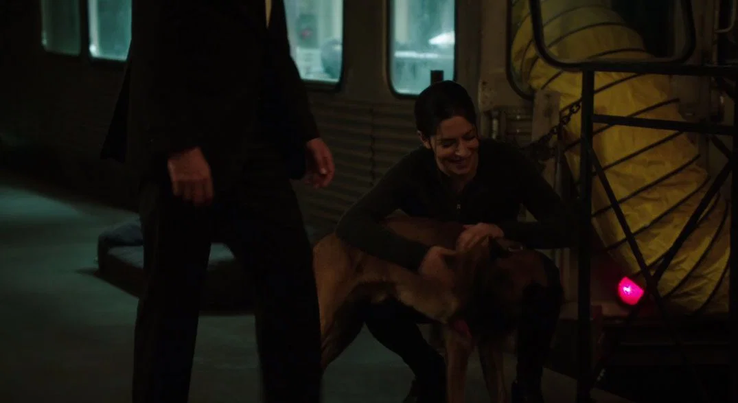 Shaw y Bear contentos