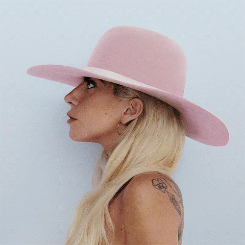 (Vía perrygaga.tumblr.com)