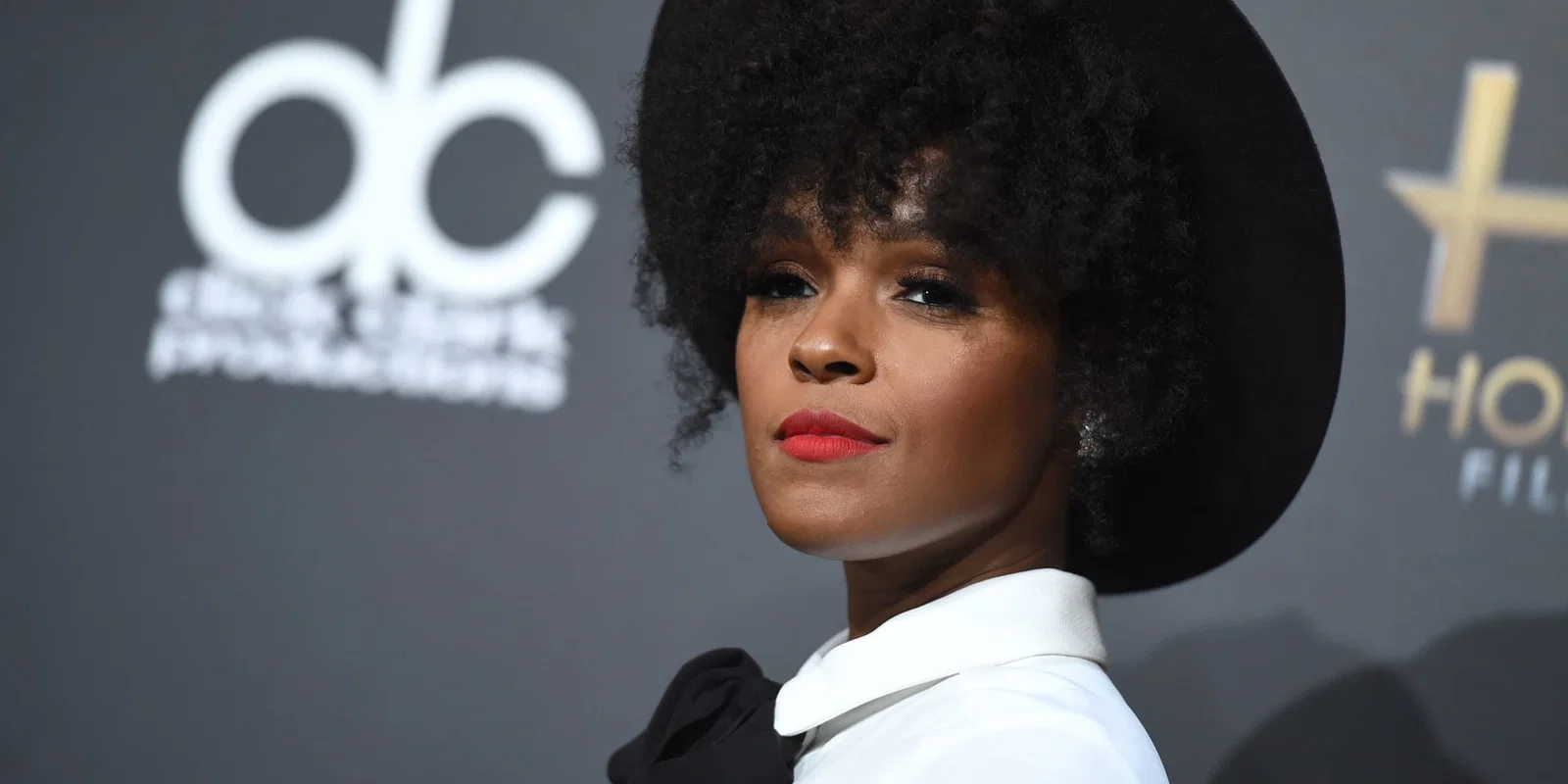 Janelle Monae queer