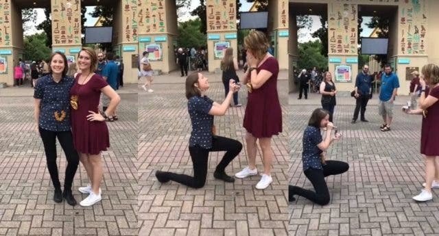 Cuando esta chica lesbiana le pidió matrimonio a su novia ¡no esperaba esta respuesta!