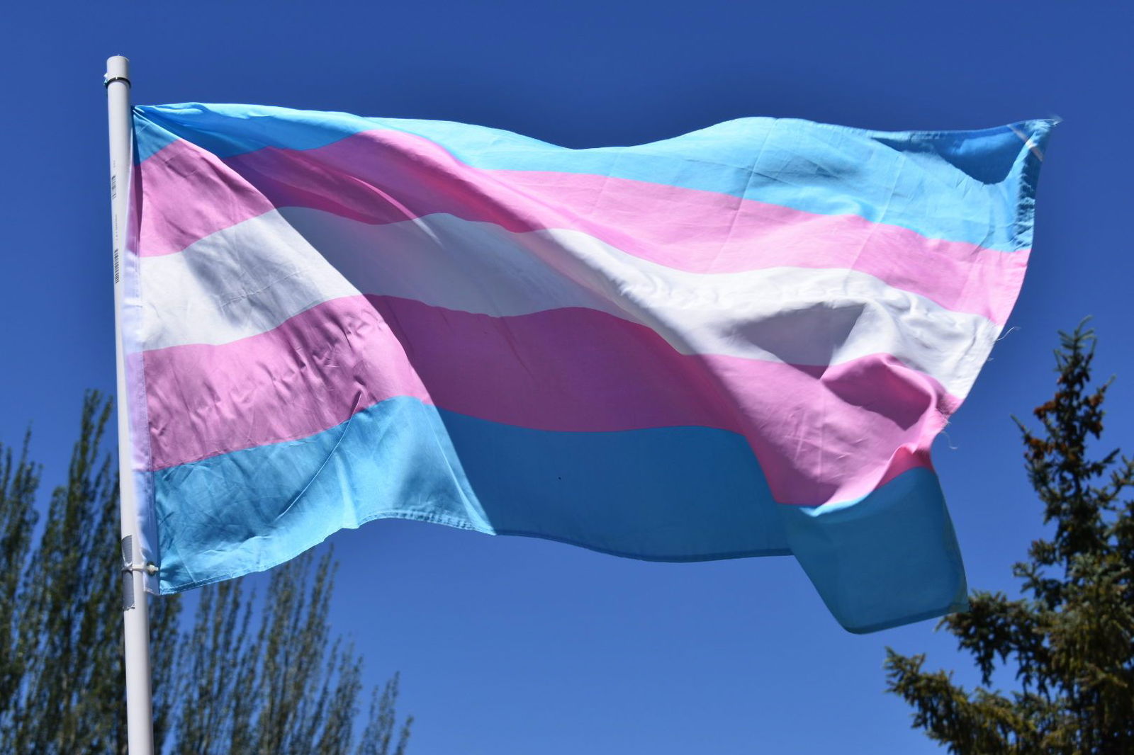 La adorable experiencia de una mujer trans que se volvi&oacute; viral