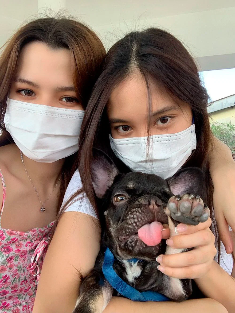 Las protagonistas de la serie GAP cargando un perrito