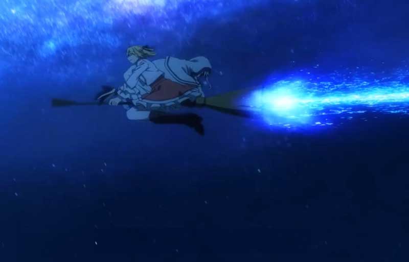 Anisphia en su escoba